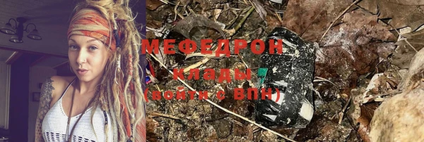 мдпв Ладушкин