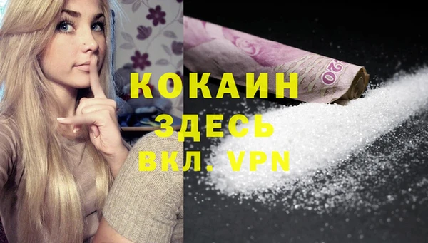 шишки Лагань