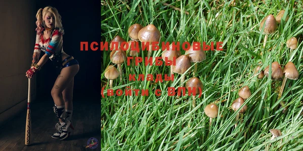 не бодяженный Кулебаки