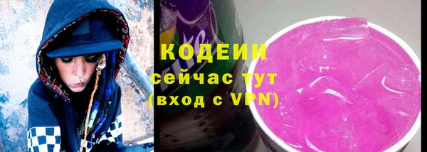 мдпв Ладушкин